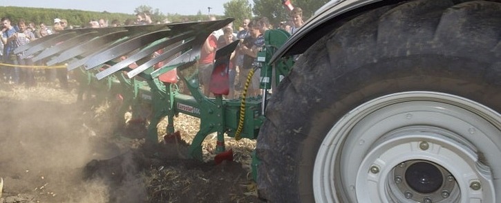 3. Mezőhegyes - Az ekék még mindig nem mentek ki a divatból