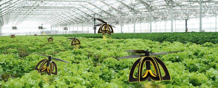 6. Kutatás + Fejlesztés + Innováció - Drónok és robotok szerepe a digitális mezőgazdaságban