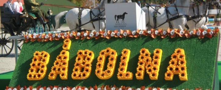 68. Hírlevél - 33. Bábolnai Gazdanapok 2020. szeptember 10-12.