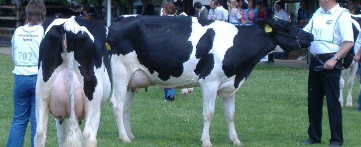 72. hírlevél - 5. Tejágazat: ezek az év nagy vívmányai az EuroTieren